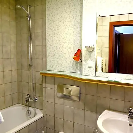 Stadthotel Am Wasen 3*
