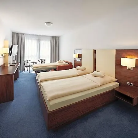 Stadthotel Am Wasen מלון 3*
